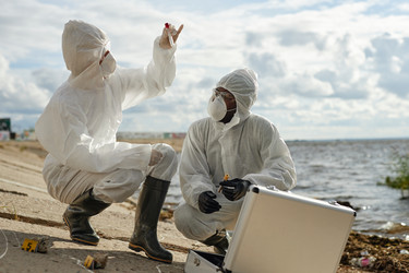 Similar image 21955816