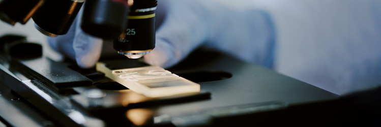 Similar image 21959430