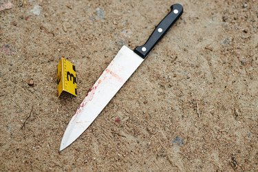 Similar image 21957408