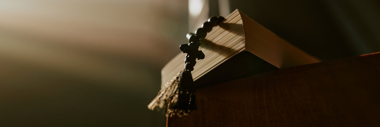 Similar image 21955904