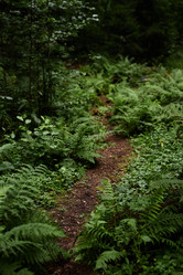 Similar image 21955721