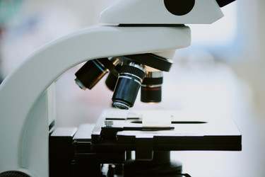 Similar image 21959433