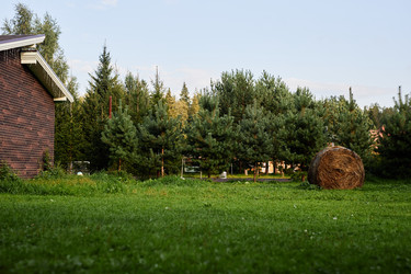 Similar image 21956786