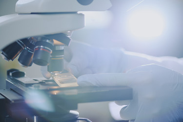 Similar image 21958400