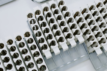 Similar image 21958357