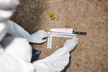 Similar image 21955418