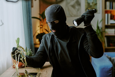 Similar image 21958459