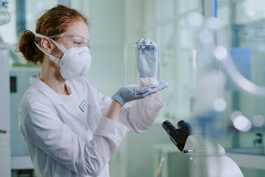 Similar image 21955532