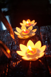 Similar image 21959618