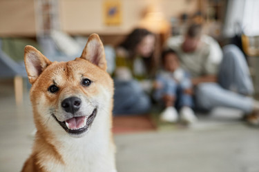 Similar image 21981910