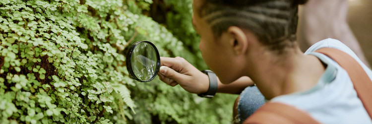 Similar image 21982755