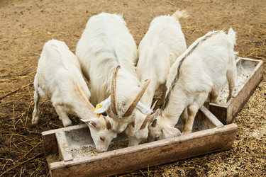 Similar image 21983768