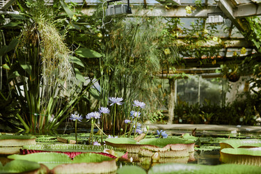 Similar image 21982752