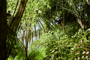 Similar image 21982693