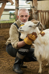 Similar image 21983752