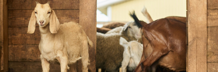 Similar image 21983865