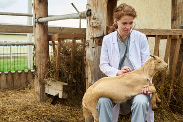 Similar image 21983759