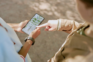 Similar image 21982758