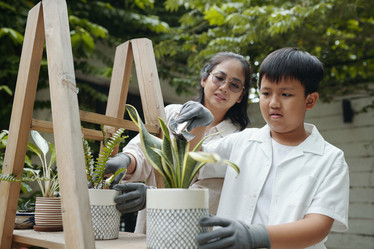 Similar image 21984813