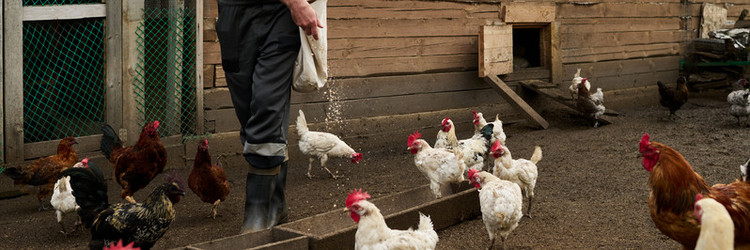 Similar image 21983822