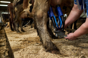 Similar image 21983802