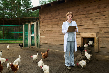 Similar image 21983721