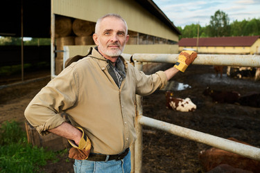 Similar image 21983724