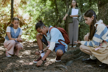 Similar image 21982645