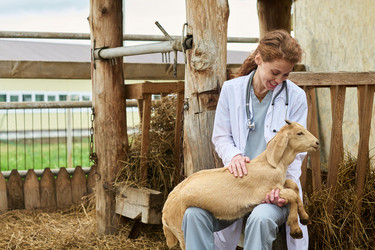 Similar image 21983763