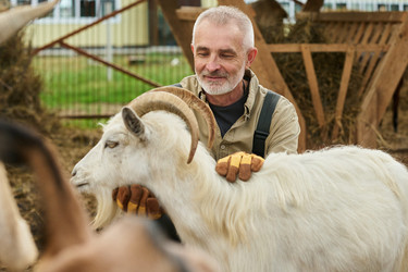 Similar image 21983743