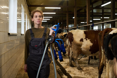 Similar image 21983809