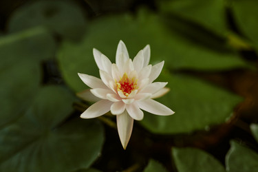 Similar image 21982744