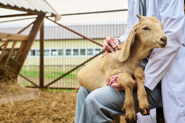 Similar image 21983770