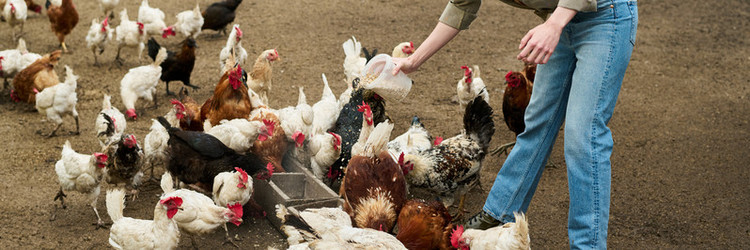 Similar image 21983807