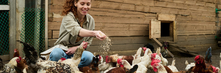 Similar image 21983815