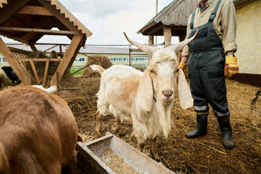 Similar image 21983742