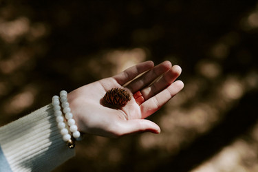 Similar image 21982773