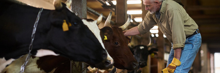 Similar image 21983830