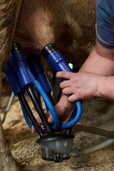 Similar image 21983810