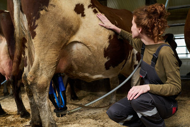 Similar image 21983795