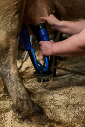 Similar image 21983803