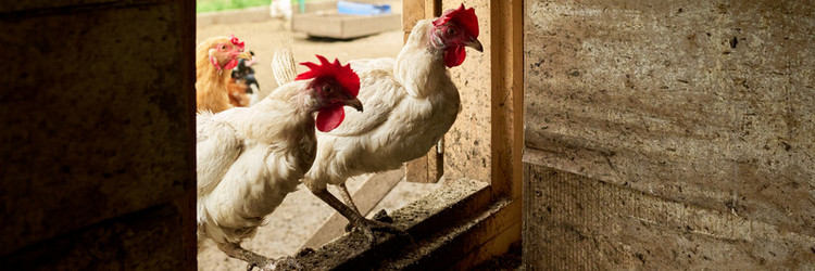 Similar image 21983868