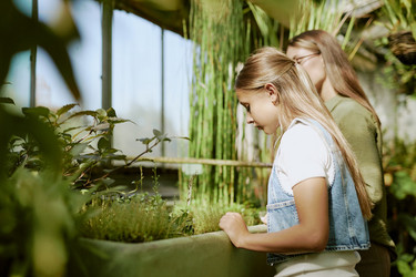 Similar image 21982745