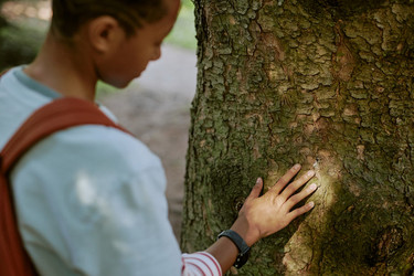 Similar image 21982770