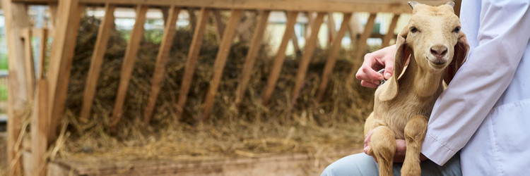 Similar image 21983857