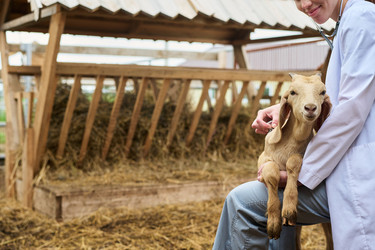 Similar image 21983757