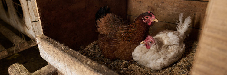 Similar image 21983798