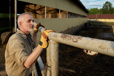 Similar image 21983718