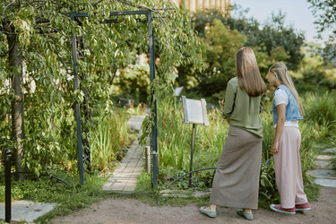 Similar image 21982683