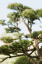 Similar image 21982753